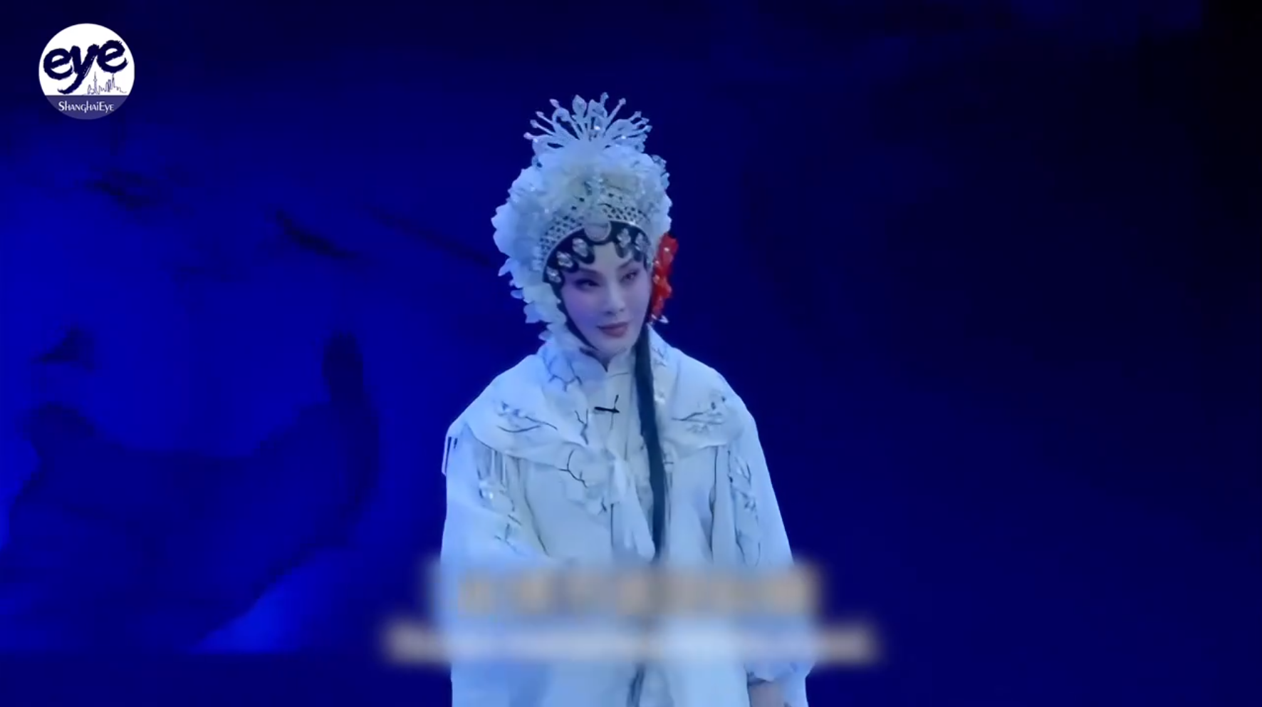 Shanghai to host first international Plum Blossom Award winners showcase